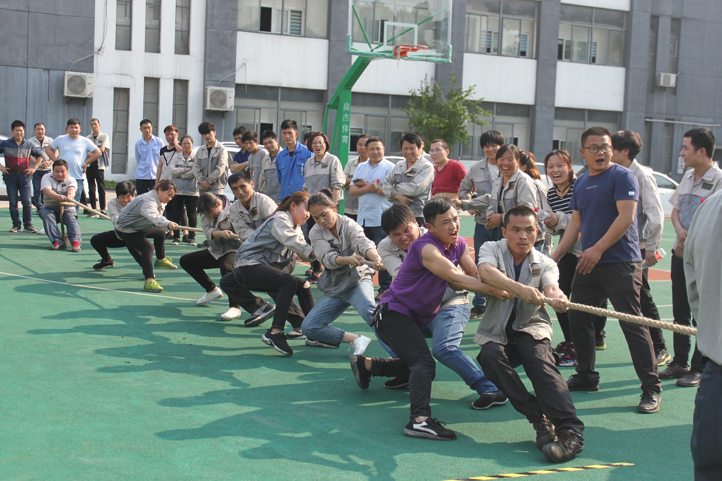 im电竞·(中国)电子竞技平台