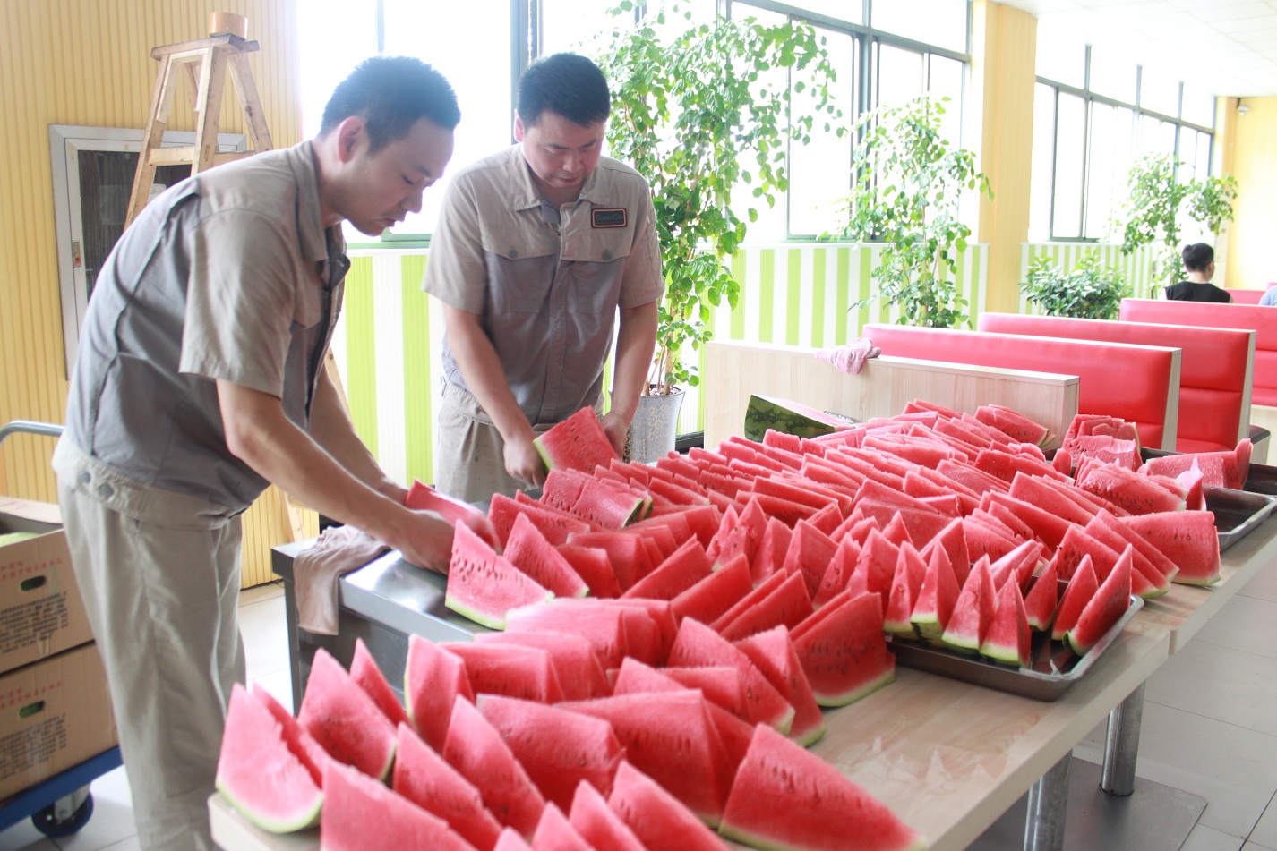 im电竞·(中国)电子竞技平台