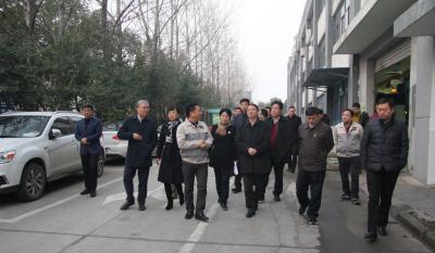 十年im电竞伴我行 又添春雨沐东风 ——记天津津南区党政代表团光临合肥im电竞调查领导